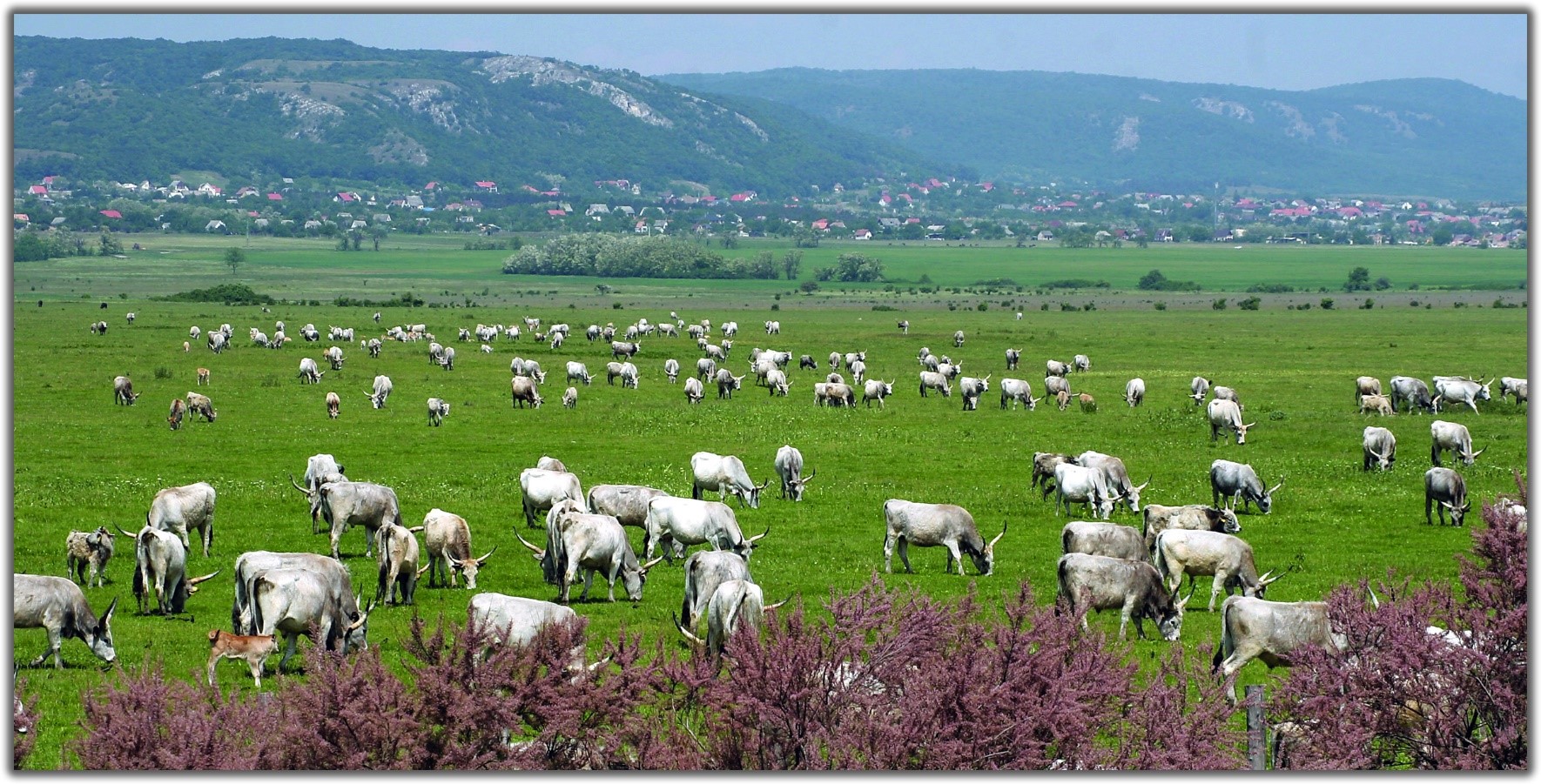 vertesi-naturpark-01